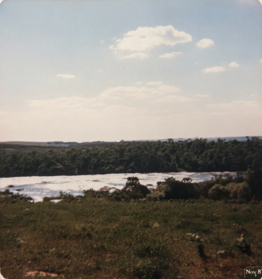 Campo gramado em primeiro plano com um rio largo fluindo através de uma densa floresta ao fundo, sob um céu claro com poucas nuvens.