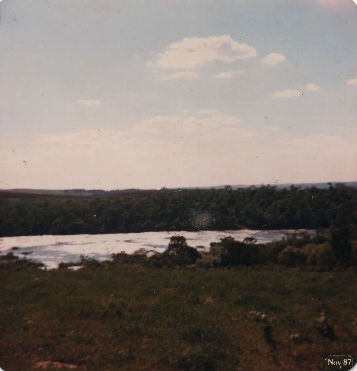 Campo gramado em primeiro plano com um rio largo fluindo através de uma densa floresta ao fundo, sob um céu claro com poucas nuvens. (Original)