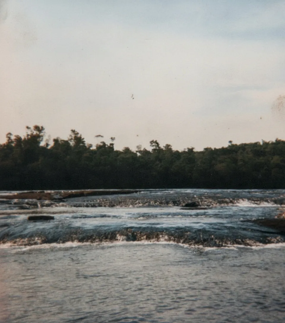 Um vasto rio com pequenas ondas e pedras expostas flui sobre formações rochosas escuras, com uma exuberante floresta verde escura na margem oposta sob um céu claro e nublado.