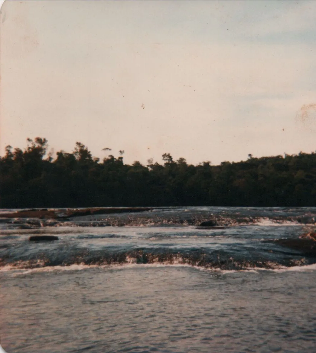 Um vasto rio com pequenas ondas e pedras expostas flui sobre formações rochosas escuras, com uma exuberante floresta verde escura na margem oposta sob um céu claro e nublado. (Original)