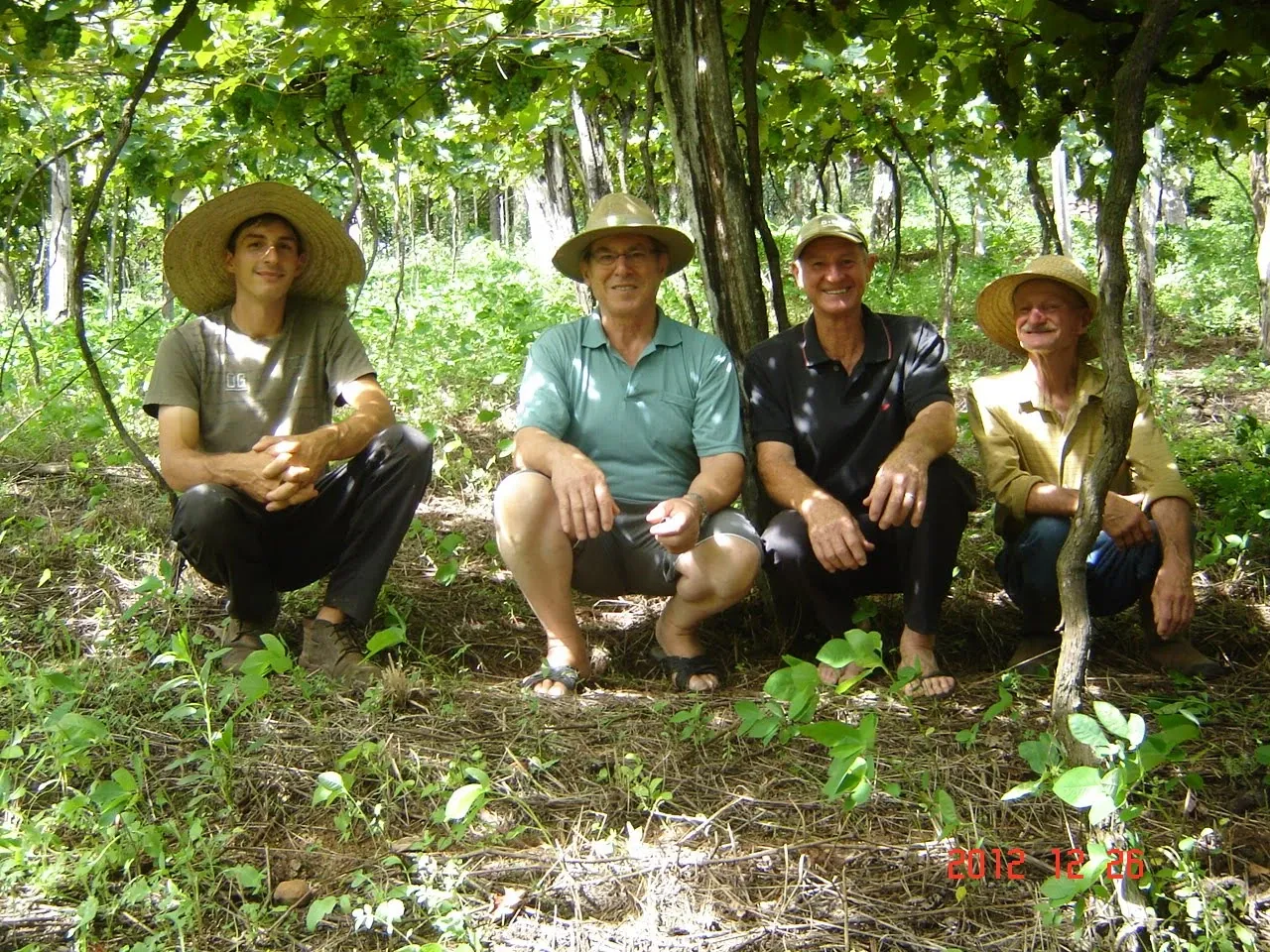 Quatro homens com chapéus de palha se agacham em uma área sombreada sob árvores, olhando para a câmera com sorrisos.