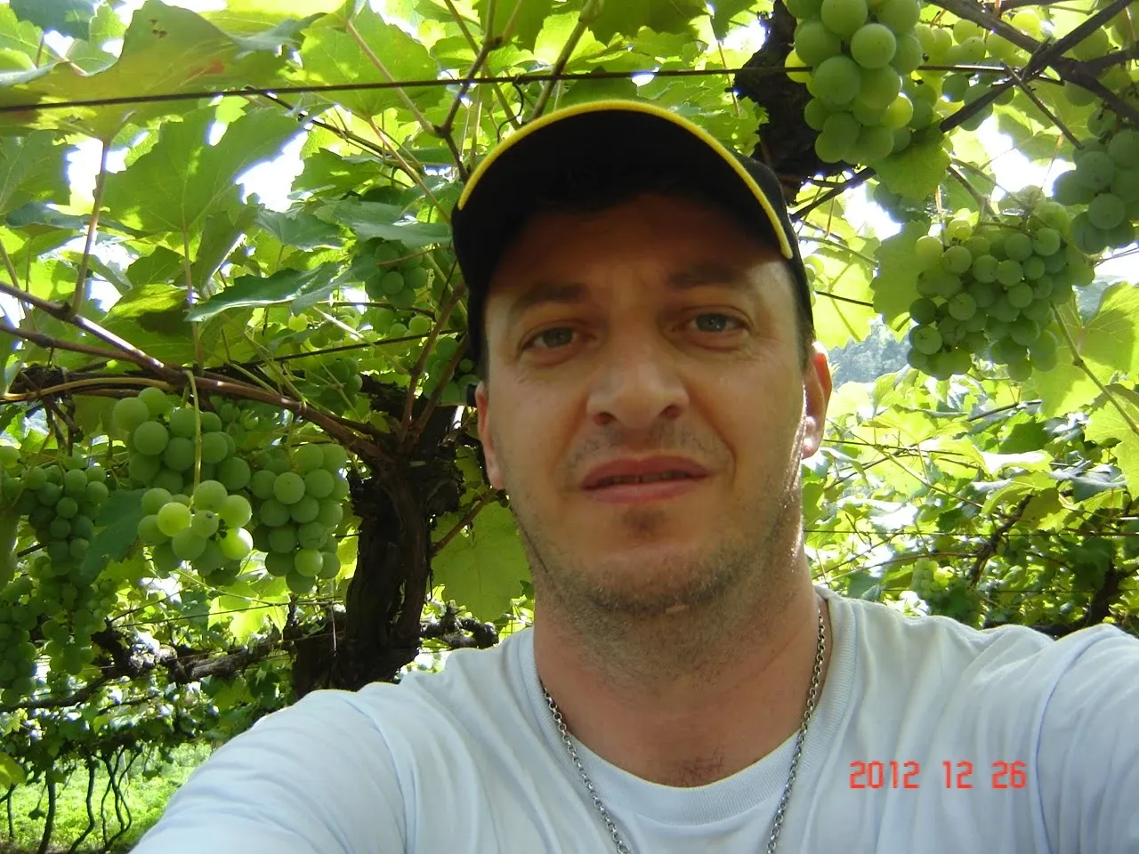 Close-up de um homem de boné de beisebol com uma camiseta branca, tirando uma selfie em um vinhedo verde e exuberante.