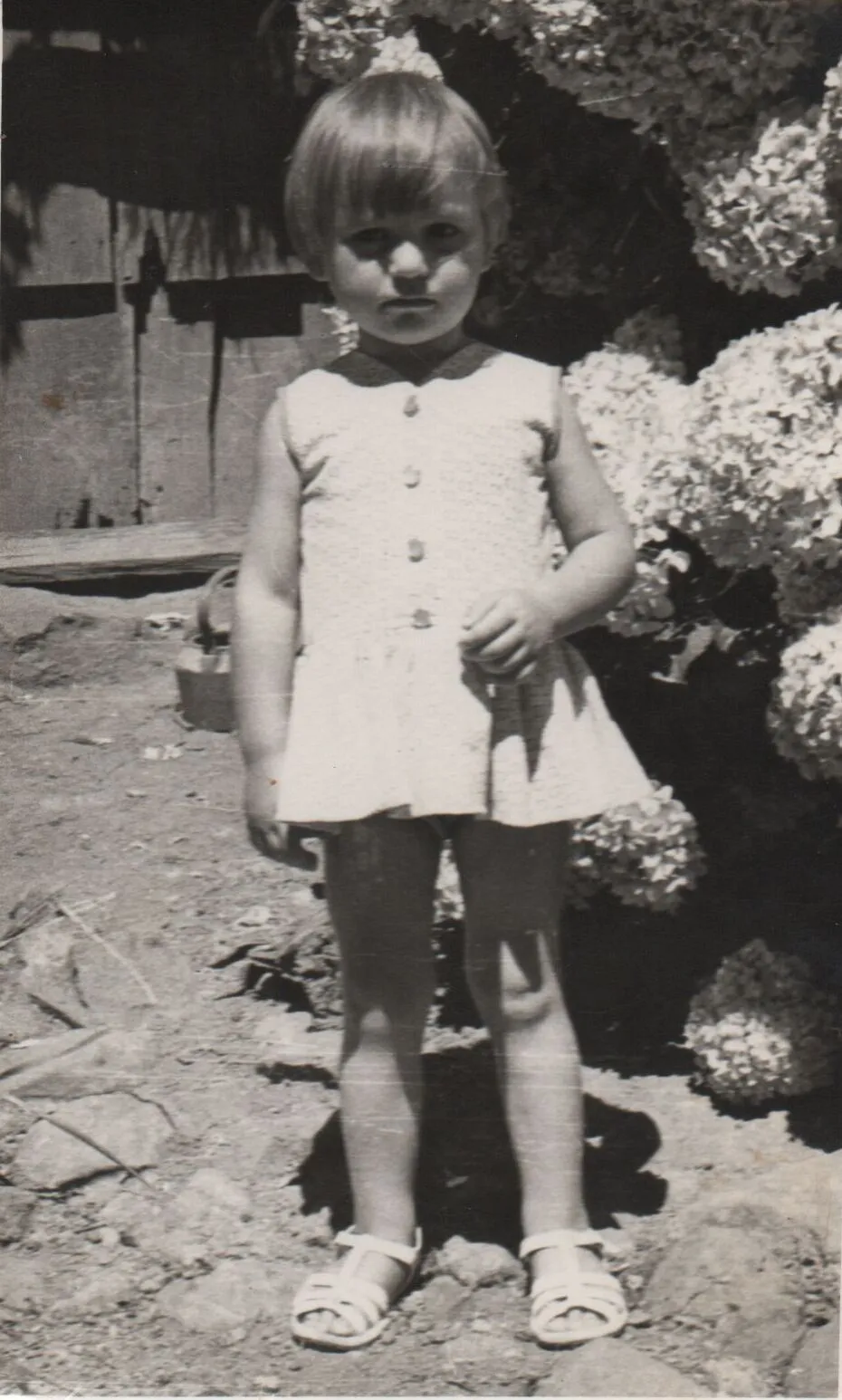 Uma criança loira com um corte de cabelo curto e franja, usando um vestido branco abotoado e sandálias, está de pé em um terreno rochoso em frente a uma parede de madeira e arbustos brancos. (Original)