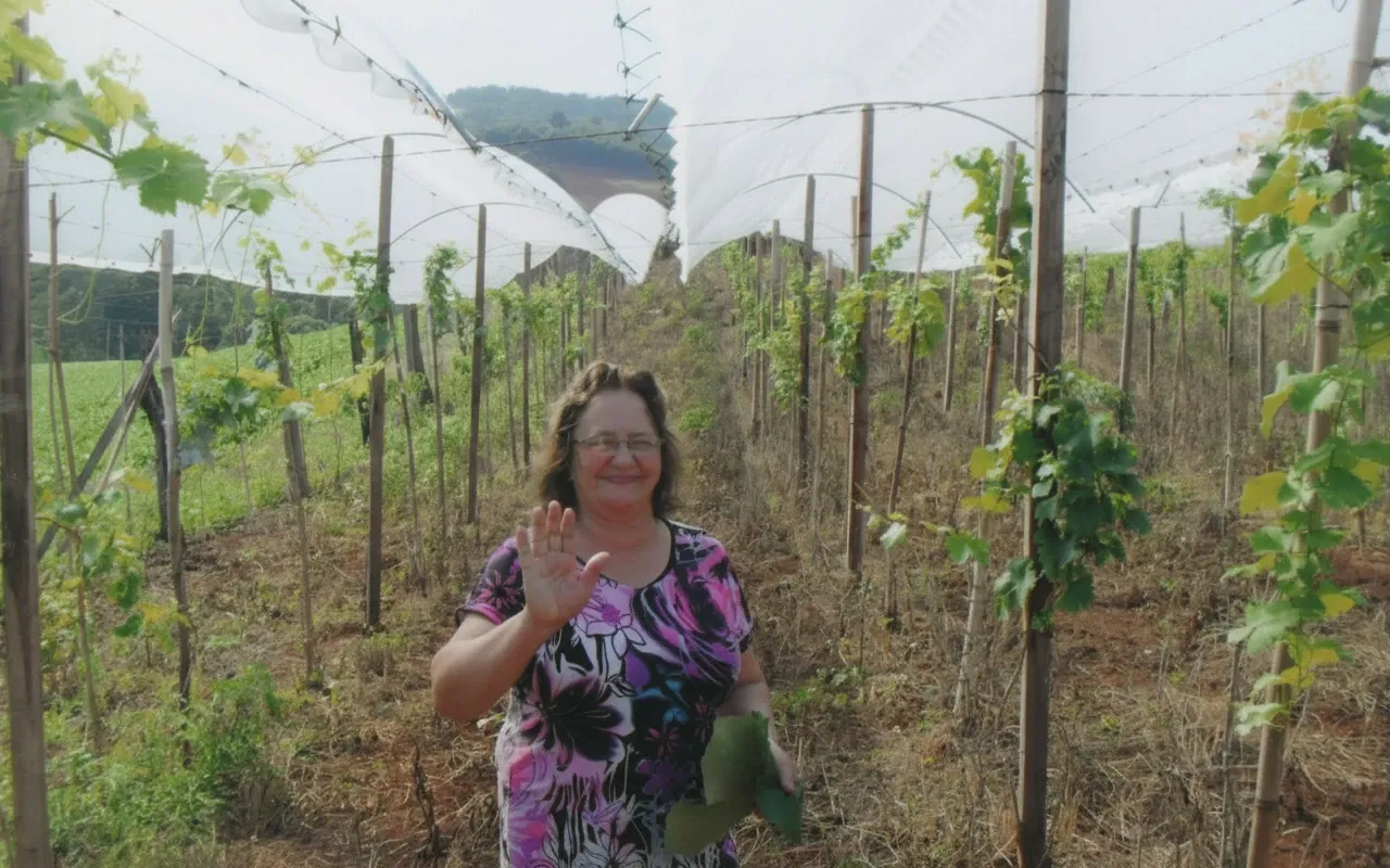 Mulher de meia-idade de óculos e blusa estampada, acenando em um vinhedo com uma estrutura de estufa branca.
