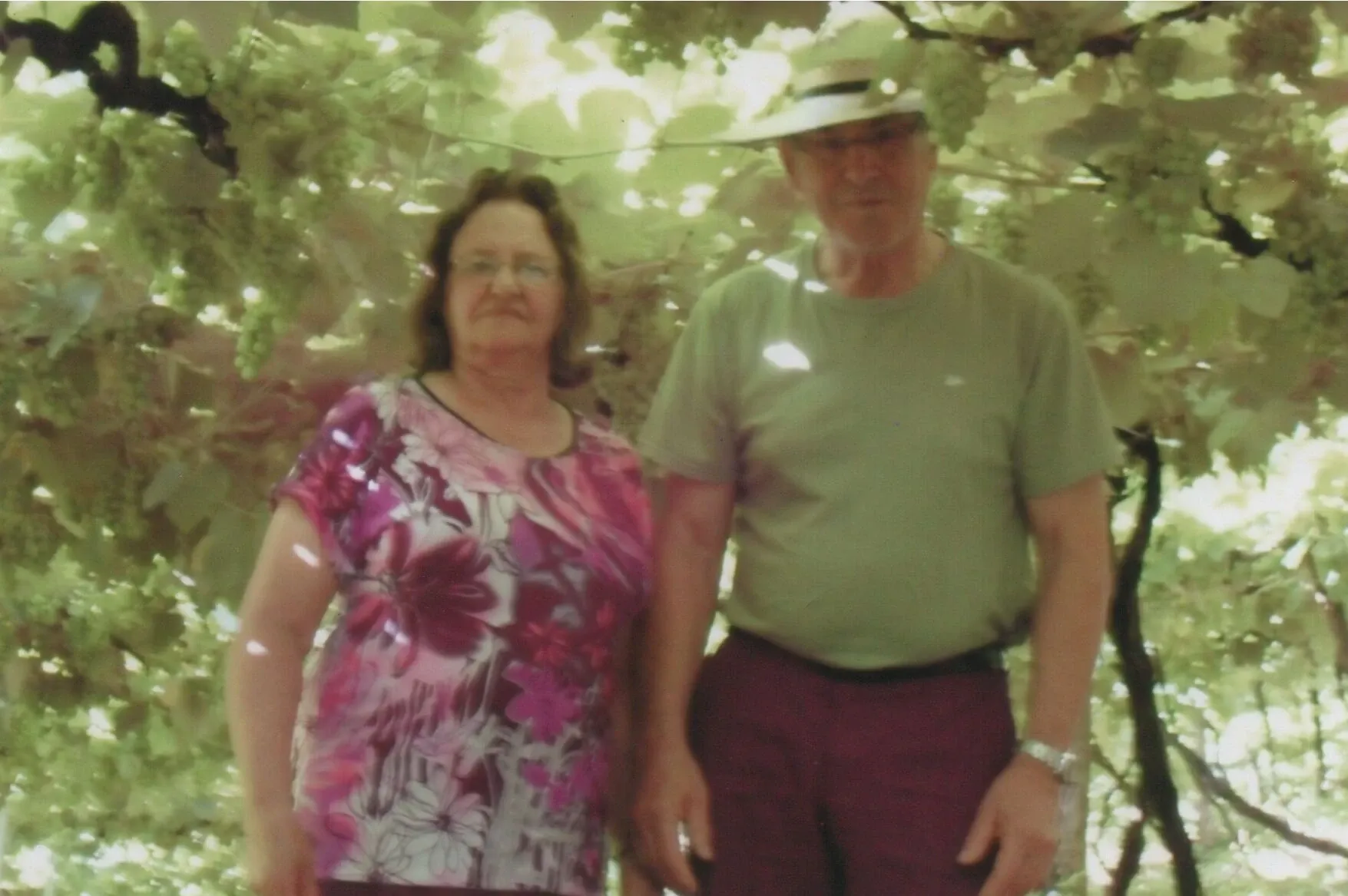 Um homem e uma mulher, vistos da cintura para cima, em pé debaixo de um dossel de videiras verdes.