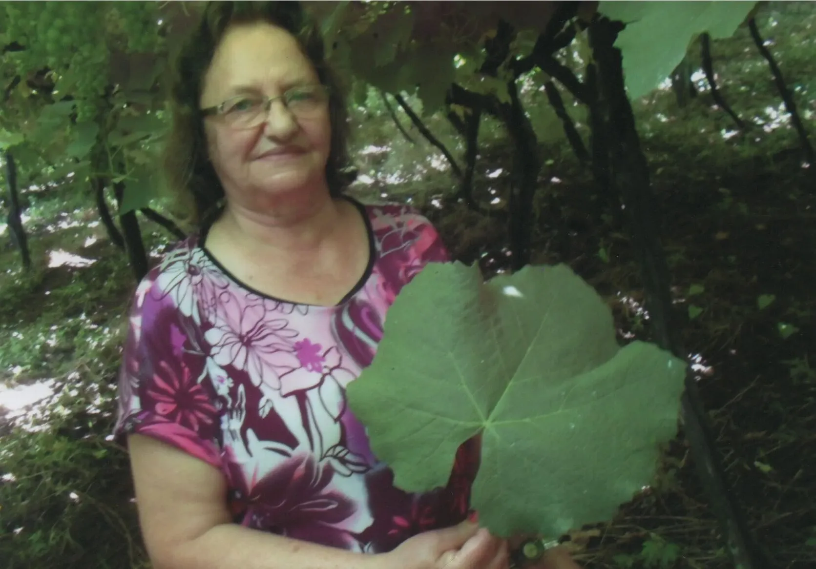 Mulher de meia-idade de óculos em uma vinha, sorrindo e segurando uma grande folha verde à sua frente.
